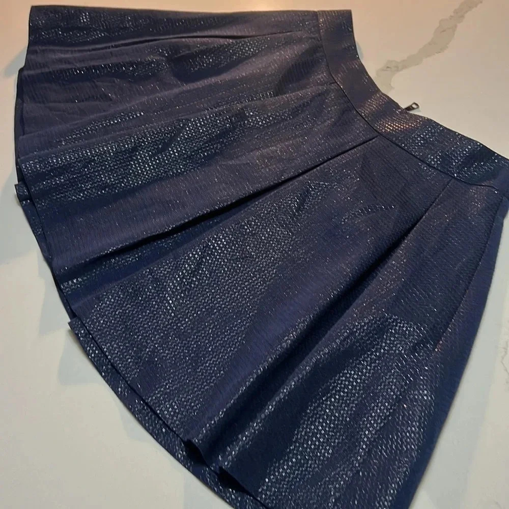 Banana‎ Republic Navy pleated skirt  with metallic threading. Size 6P - Picture 7 of 10